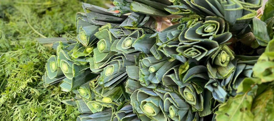 The Benefits of Organic Vegetables